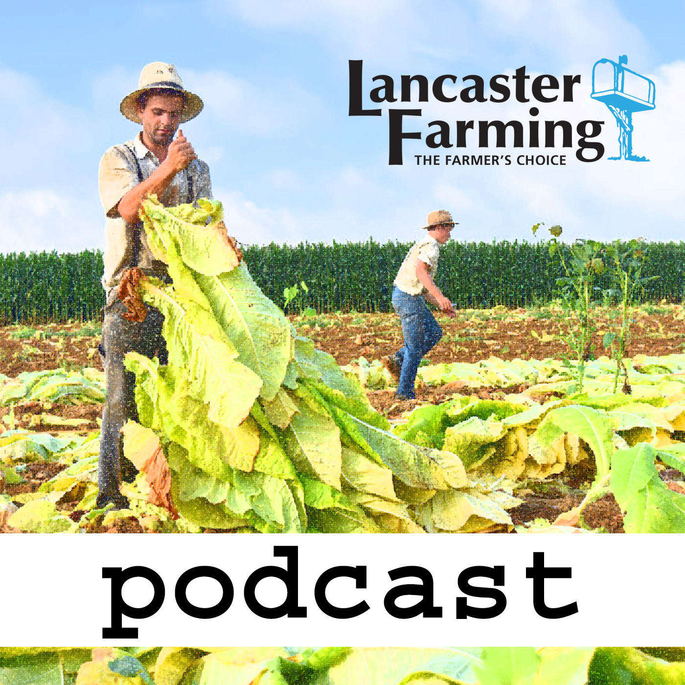 Lancaster Farming Podcast, a short introduction